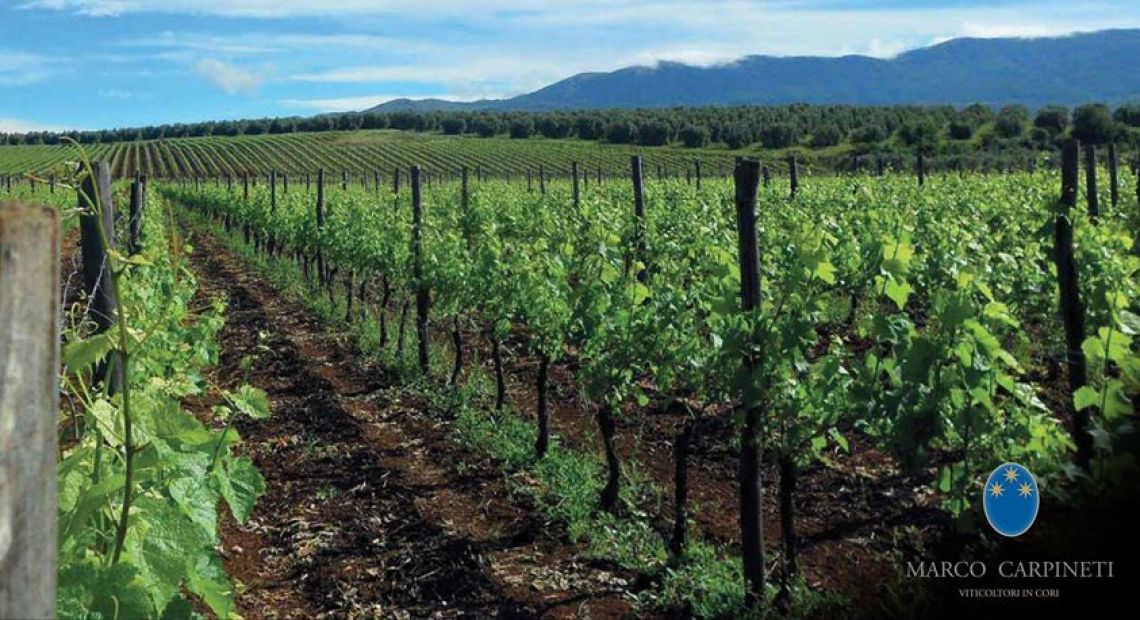 Wine Tour a Cori