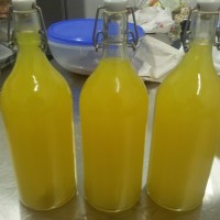 Limoncello