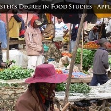 M.A. Program in Food Studies