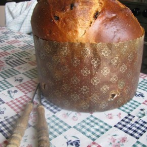 Panettone