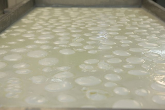 Coop Allevatori Bufalini Casertani, mozzarelle nel liquido di governo