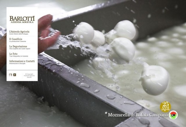 Barlotti Caseificio, le mozzarelle