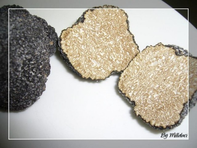 Ristorante Milleluci, tartufo
