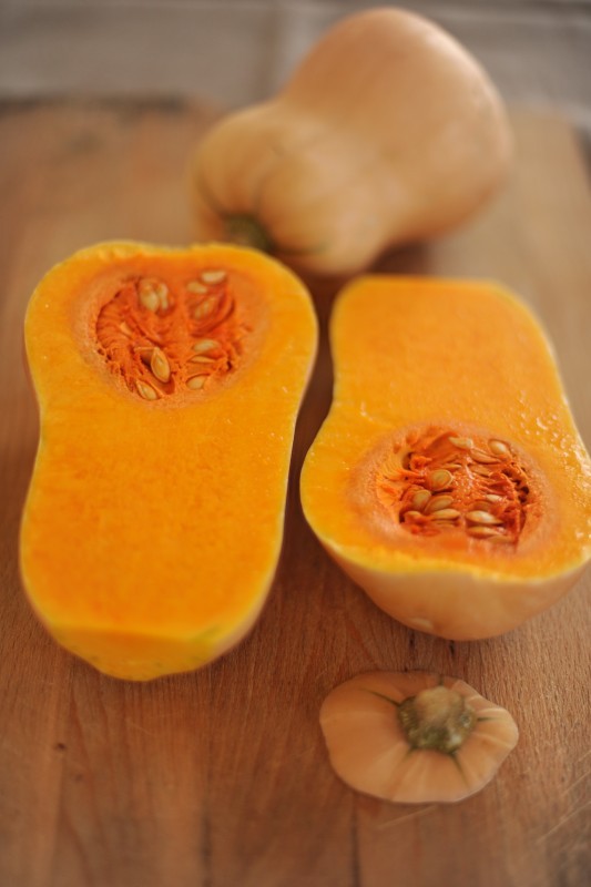 Zucca butternut