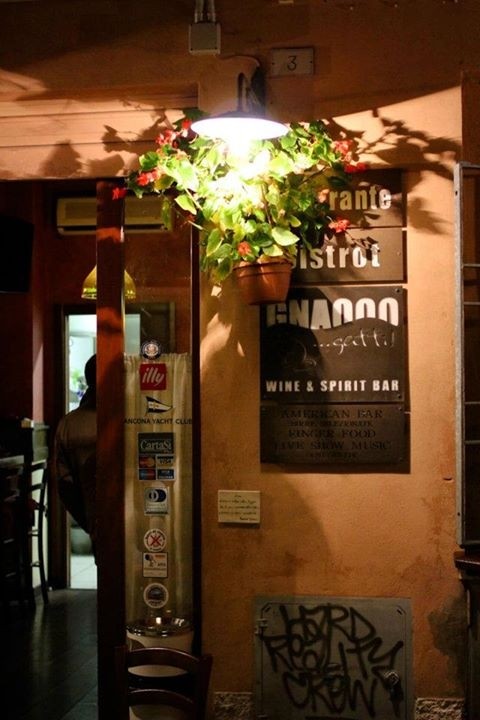 Gnaoo Gatti Bistrot