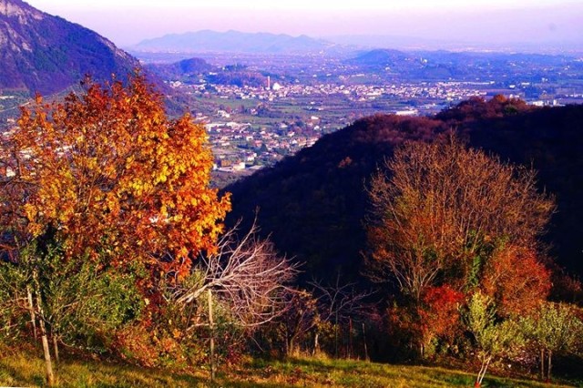 Mirasole