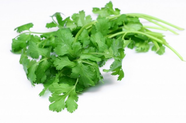 Coriandolo