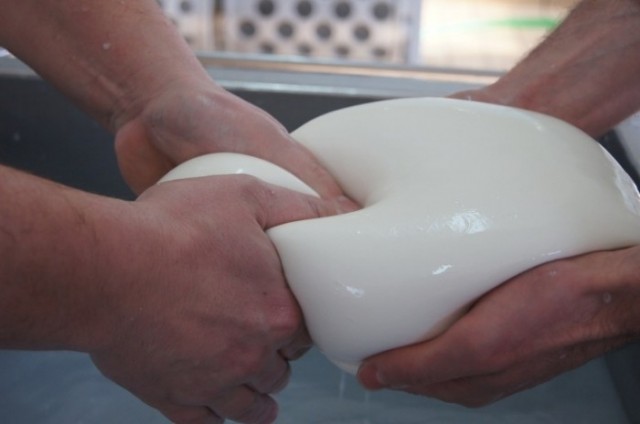 La Marchesa, mozzarella di bufala campana