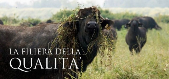 Caseificio Marrandino, la filiera della qualità