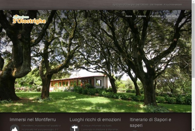 S'Olostrighe