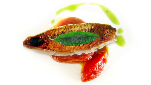 Salvatore Tassa, piatto di pesce