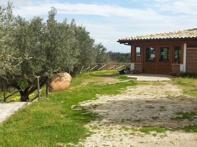 Agriturismo La Valle dei Mandorli