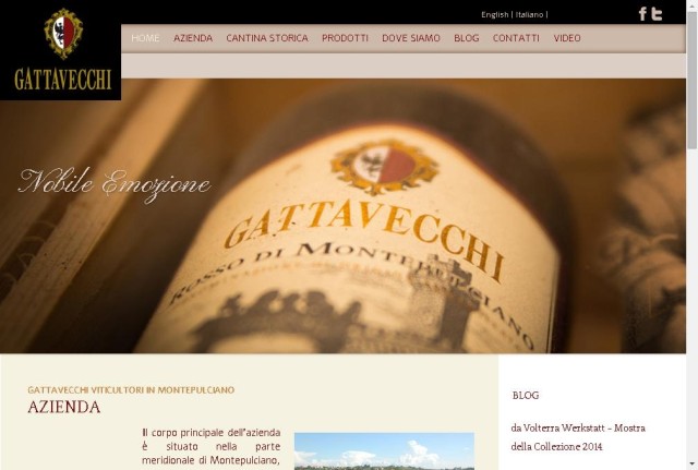 Gattavecchi