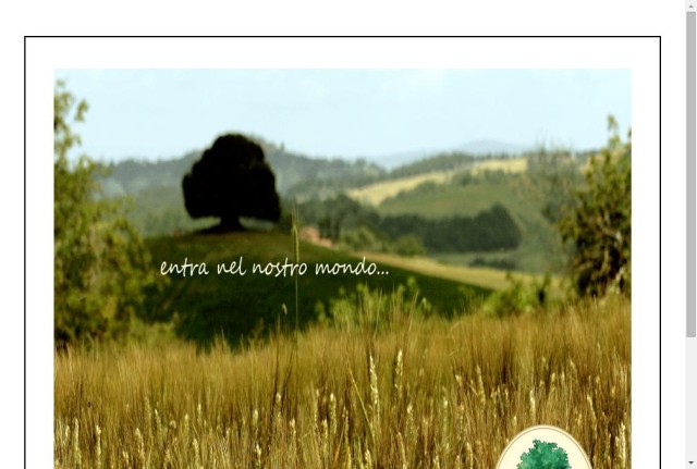 Enoteca il Leccio