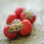 Fragole