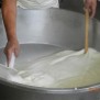 Ponte Reale, produzione mozzarelle