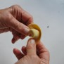 Formatura del tortellone