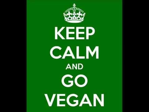 Telefonata Ristorante Pisicchio   Manifesto Vegan